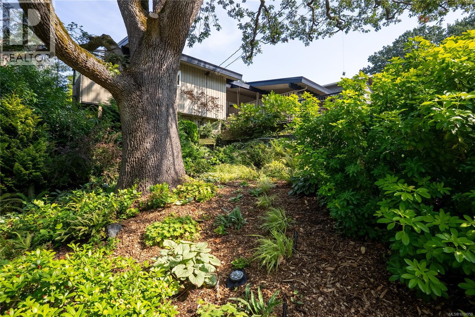 1556 Arrow Rd, Saanich