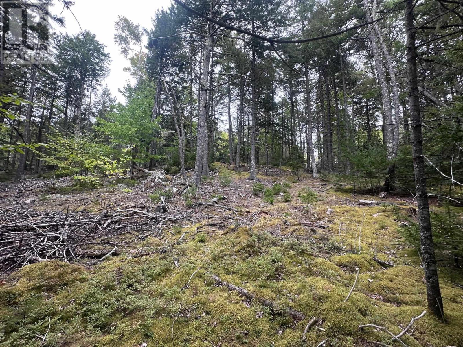 Property 3 of 7 of Lot 2 Narrows Road