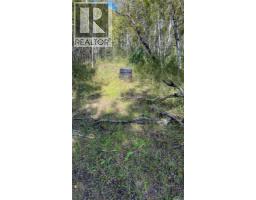 Edam Quarter, Turtle River Rm No  469, SK S0M0V0 Photo 30