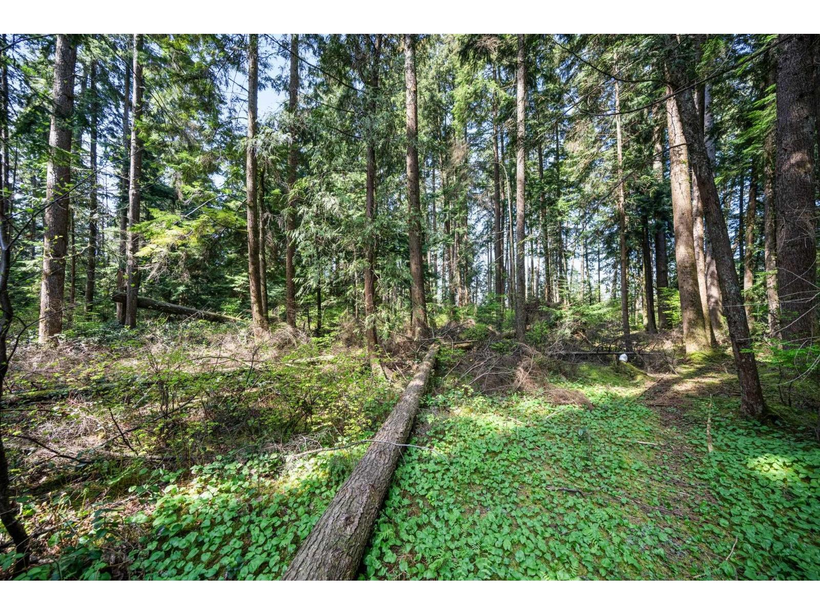 25691 84 AVENUE, Langley
