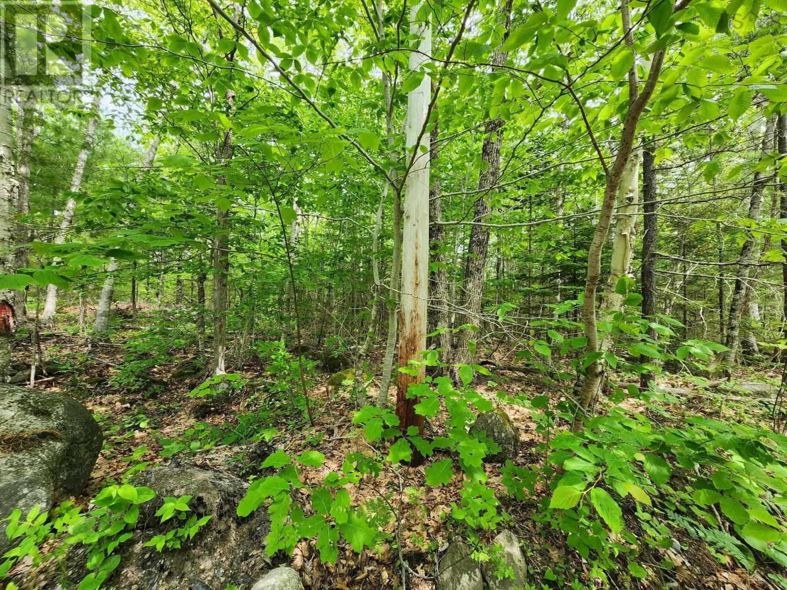 Property 9 of 10 of Lot 15 Charlton Road