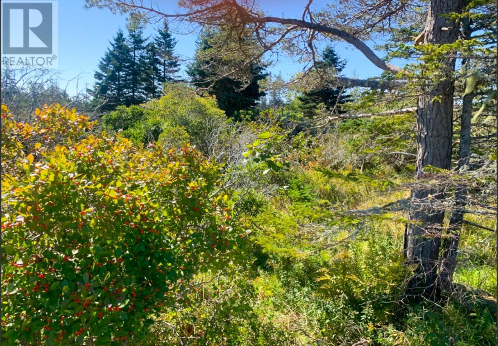 Property photo of Lot Overton Road