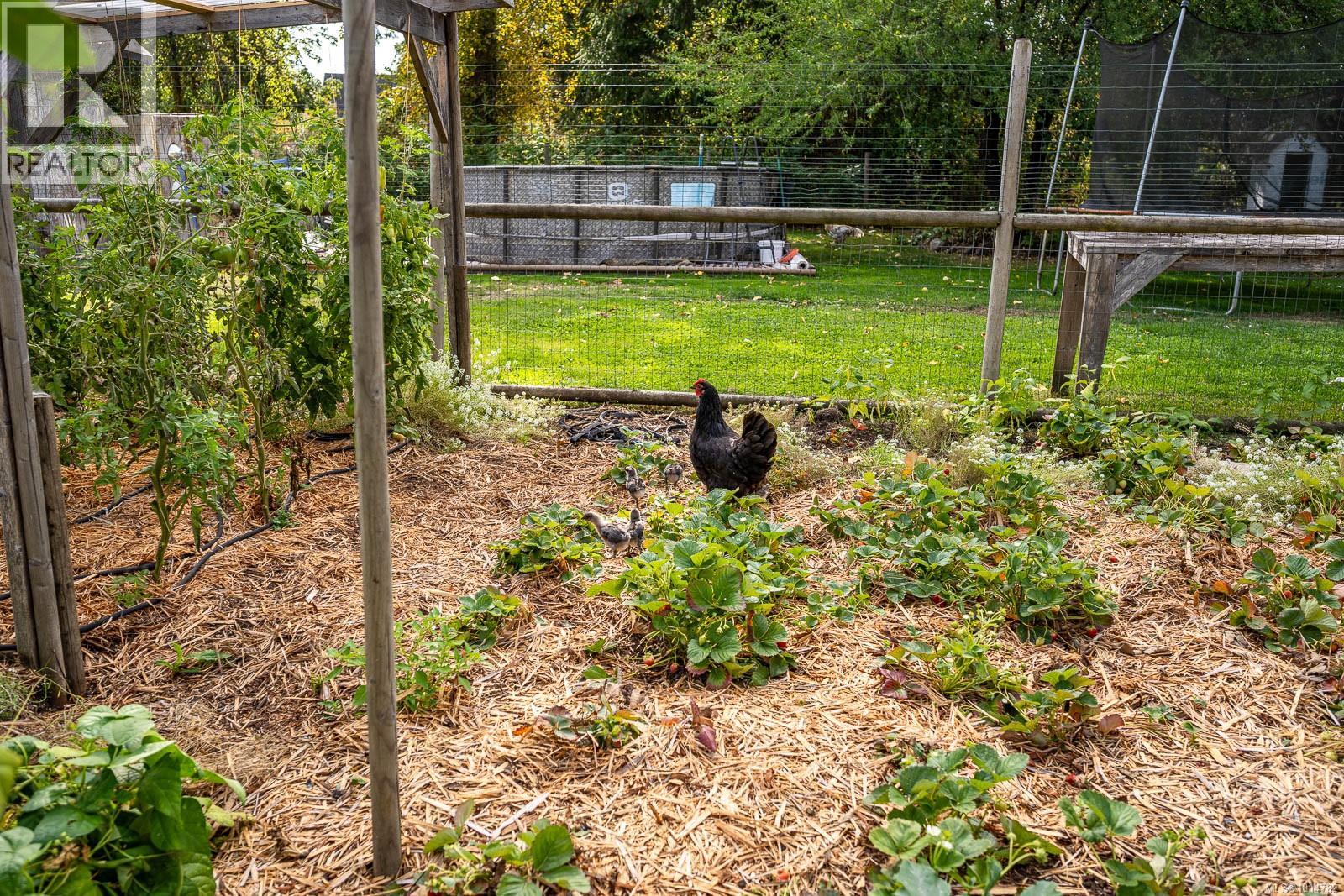 5068 Island Hwy N, Courtenay