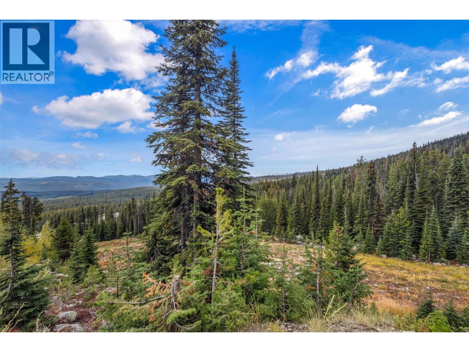 40 Kettle View Road Unit# 437F, Big White