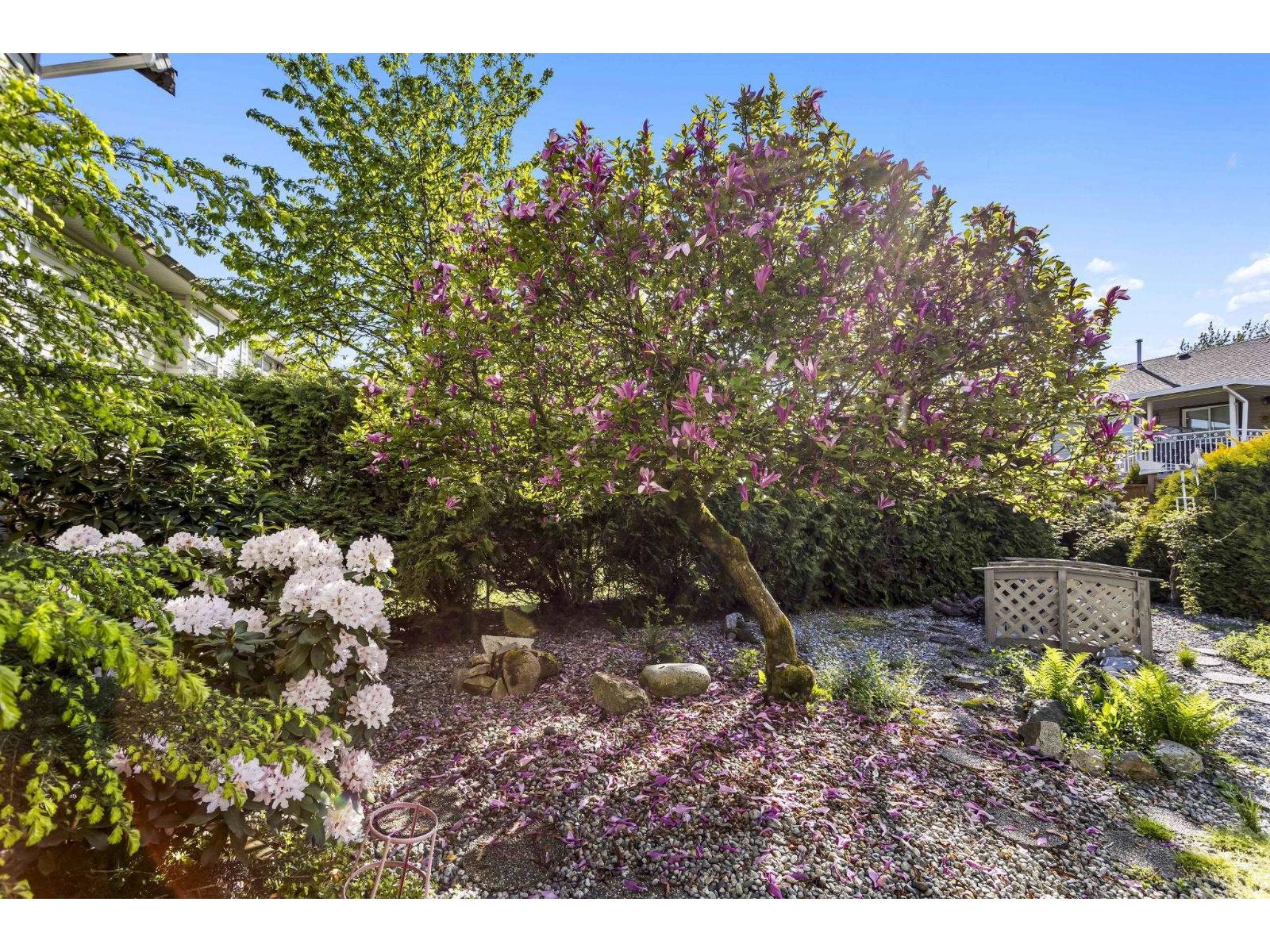 8479 CADE BARR STREET, Mission