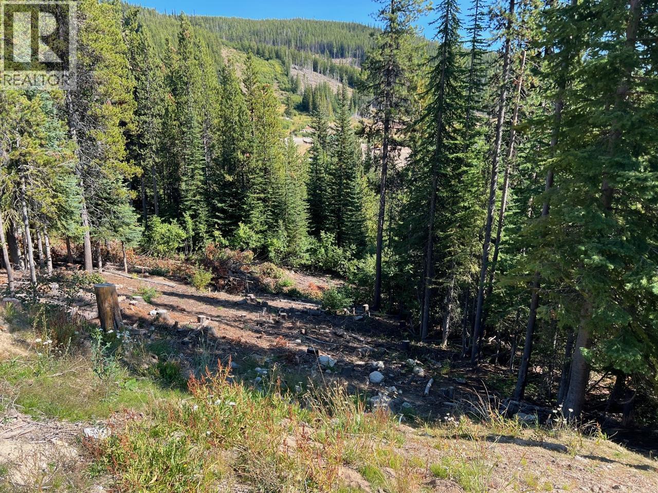 Wapiti Creek Road Lot# 122, Oliver