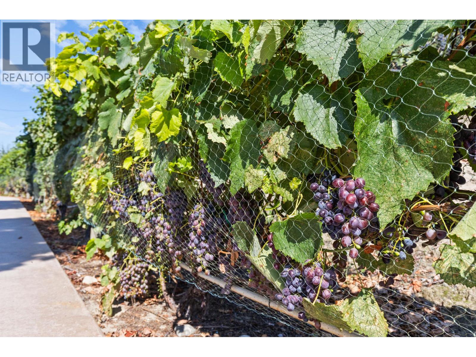  385 Matheson Road, Okanagan Falls
