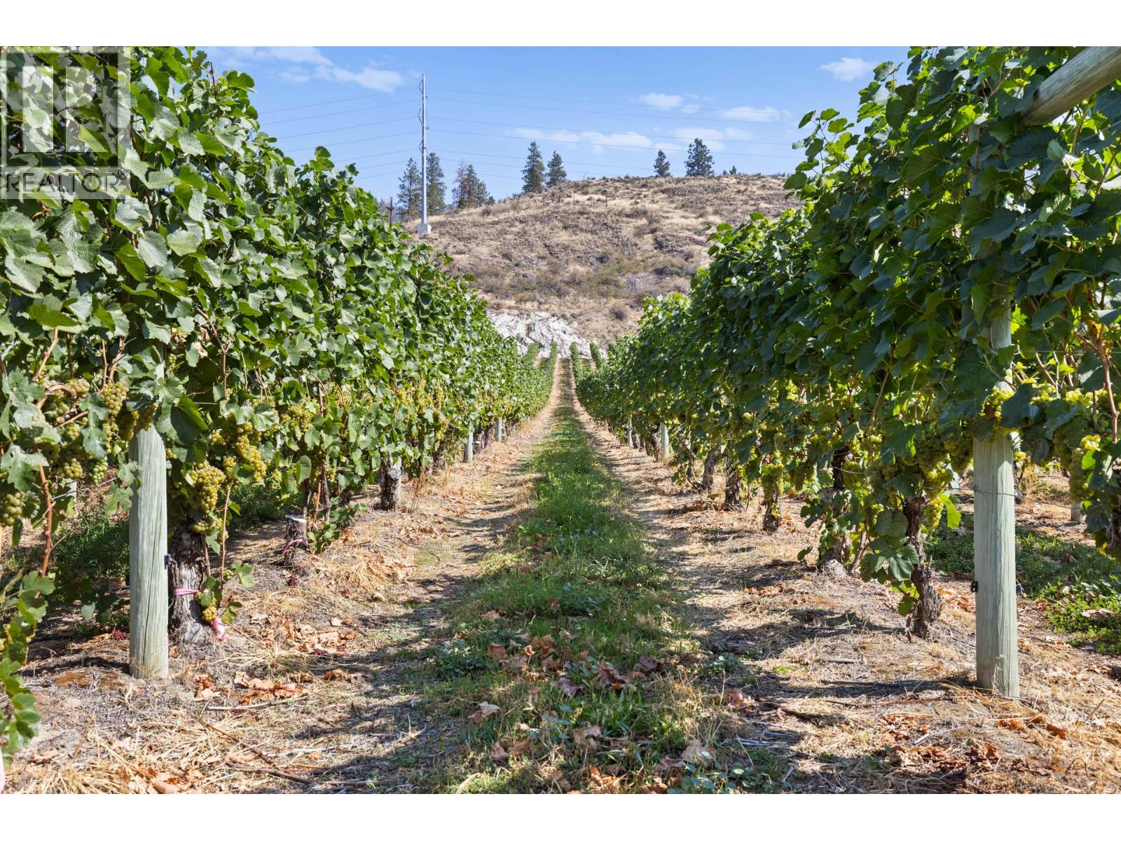  385 Matheson Road, Okanagan Falls