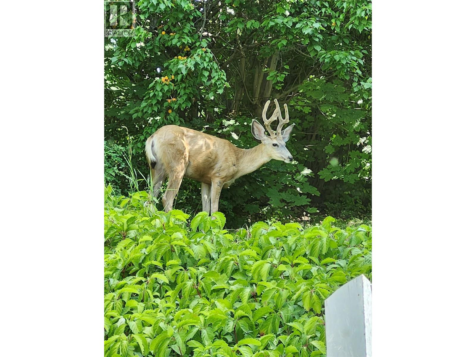  1430 Lakeshore Road Northeast, Salmon Arm