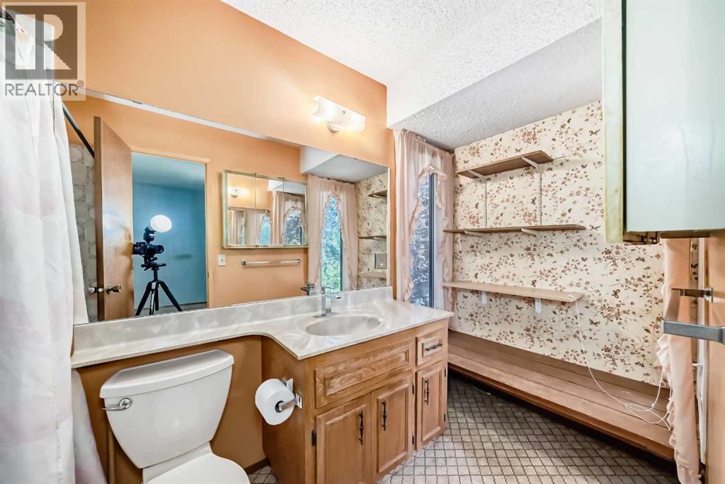 Single Family House 4 Level for Sale in  Templeview Place NE Temple Calgary 