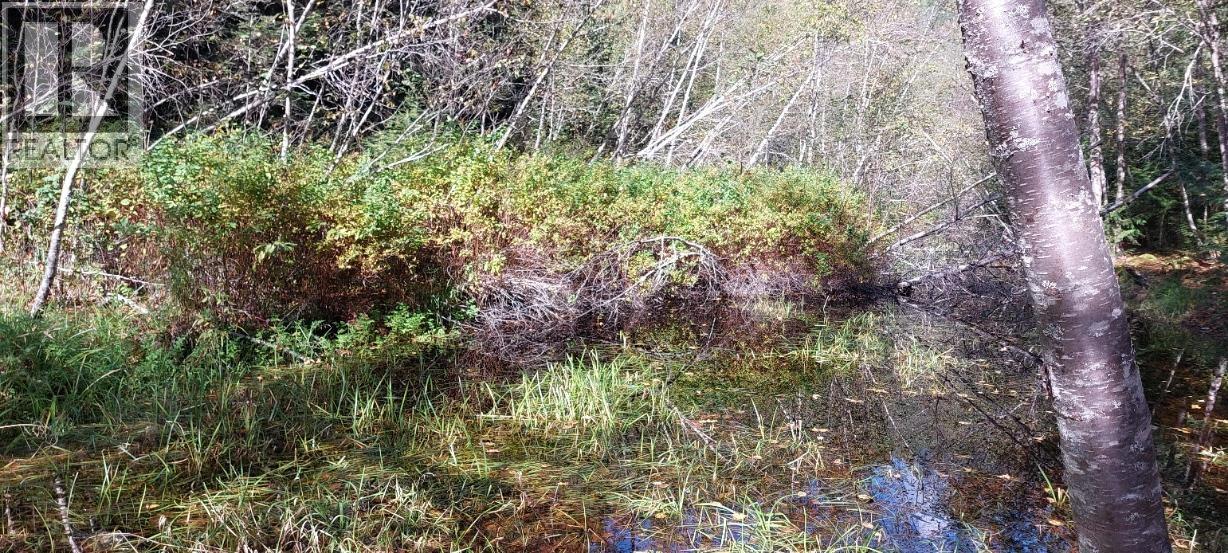 2459 SALOOMPT ROAD, Bella Coola