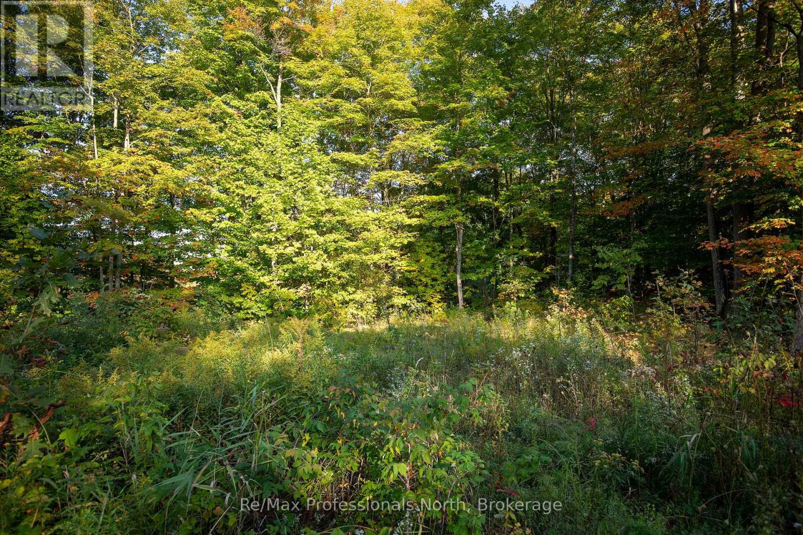 24 ESTATE DRIVE - Photo 3 of 8, Muskoka Lakes (Medora), Ontario