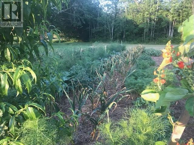 Property 16 of 19 of 2041 Clarence Road