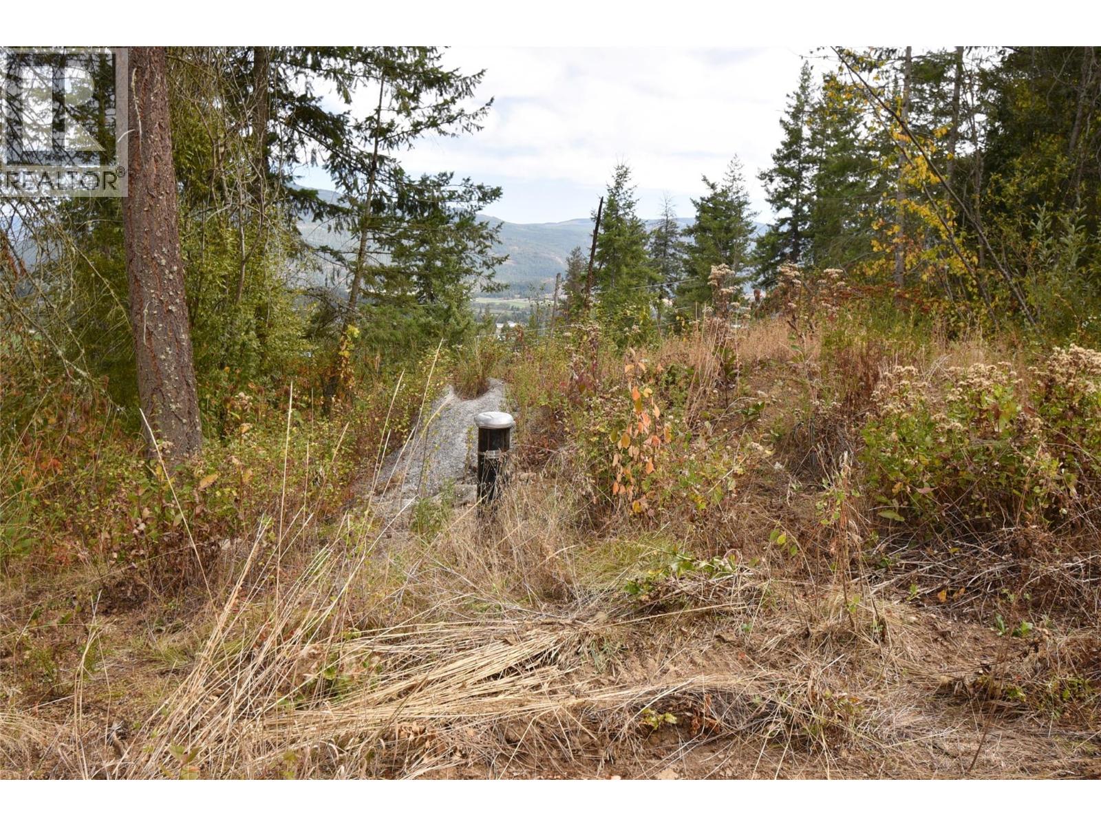 246 Crooked Pine Road, Enderby