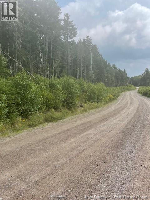 The length of the frontage from the hill top to this point approximately.