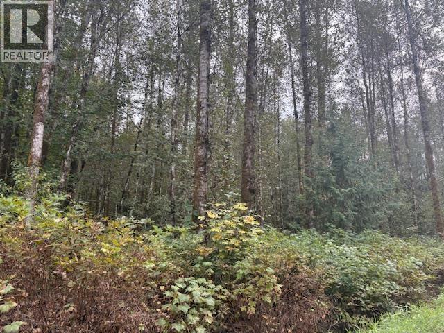 DL990 NW MAGEE ROAD, Squamish