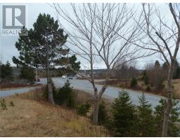 15 Powell Drive thumbnail 8
