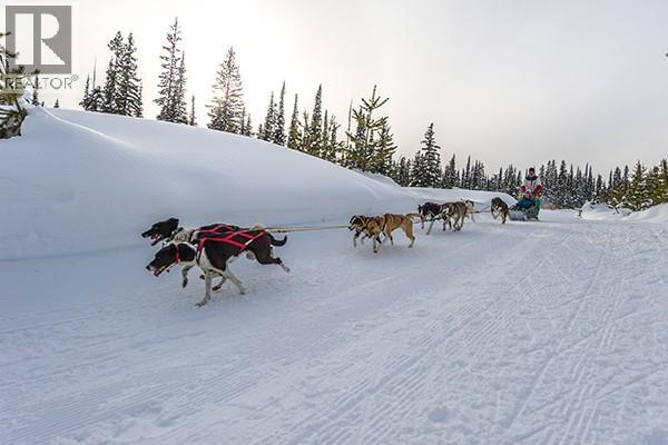 Lot 2 Black Forest Road Lot# 2, Big White