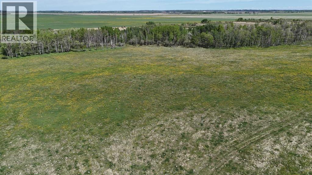 0 11, Rural Red Deer County