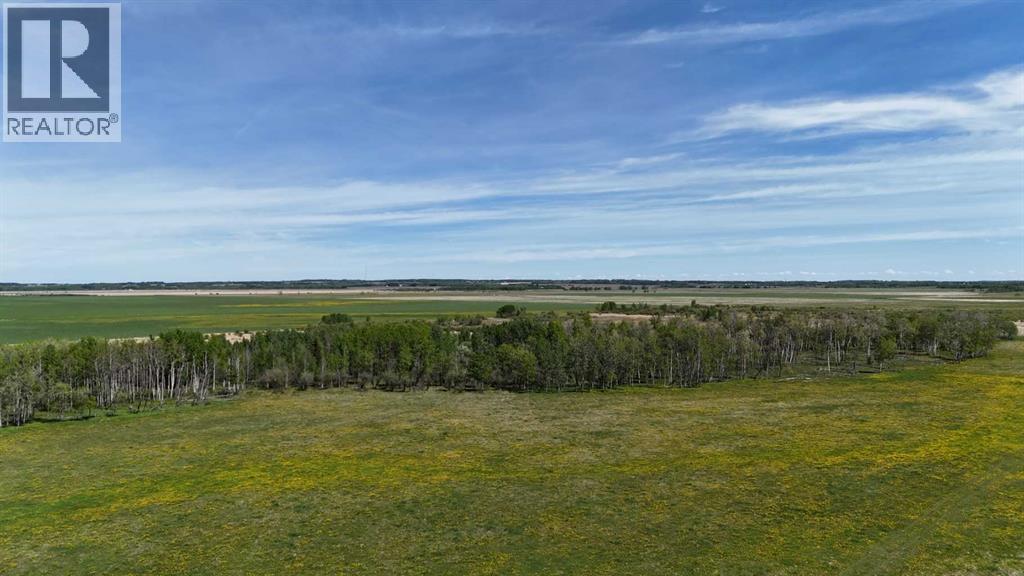 0 11, Rural Red Deer County