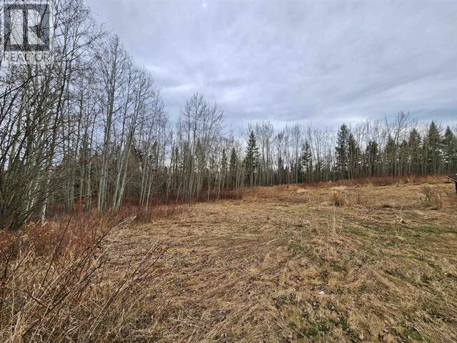 LOT 1 WOODRIDGE ROAD, Quesnel