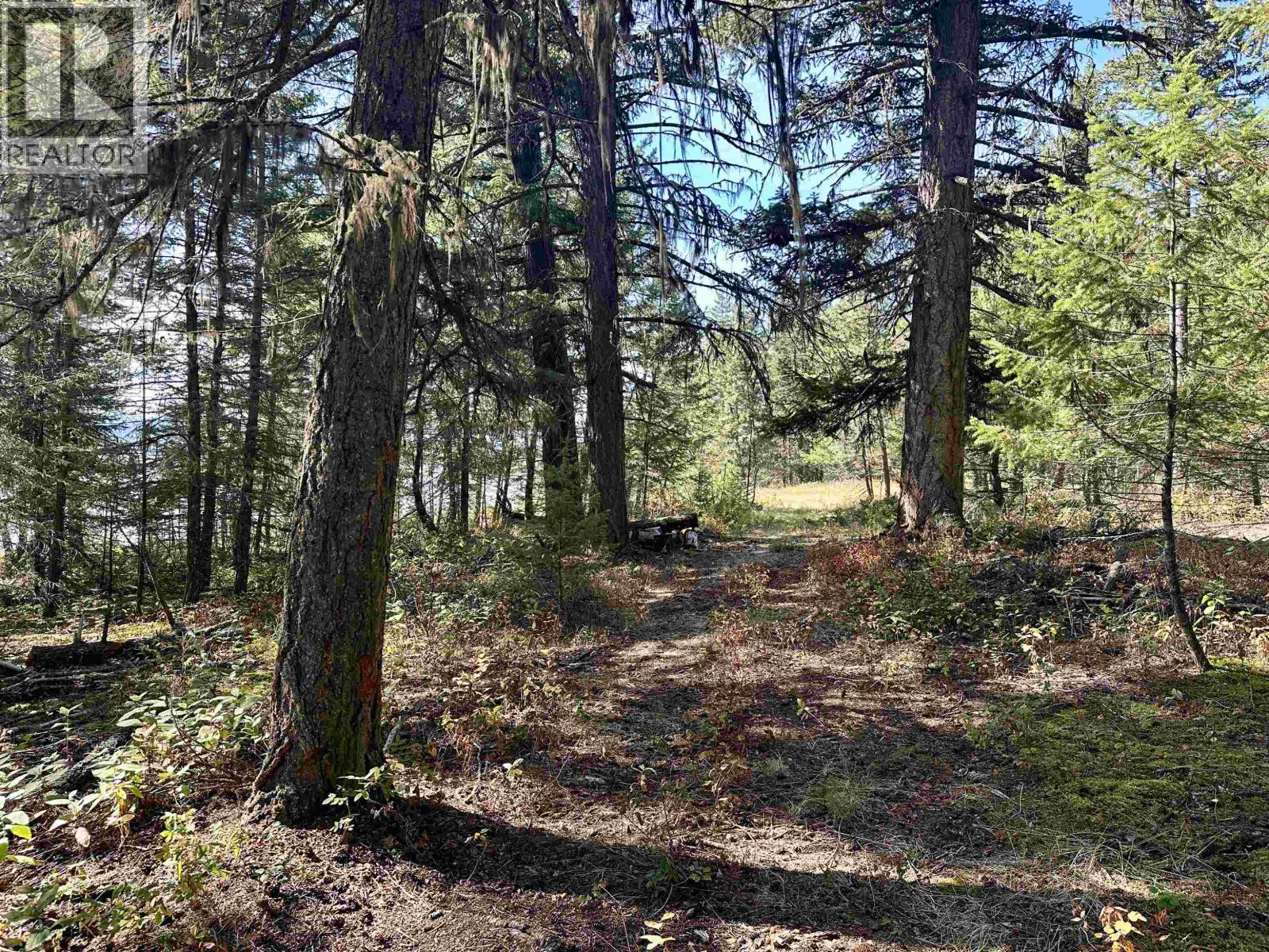 Vacant Land for Sale in Fraser Lake – 5567 OONA ROAD, Fraser Lake - Image 39