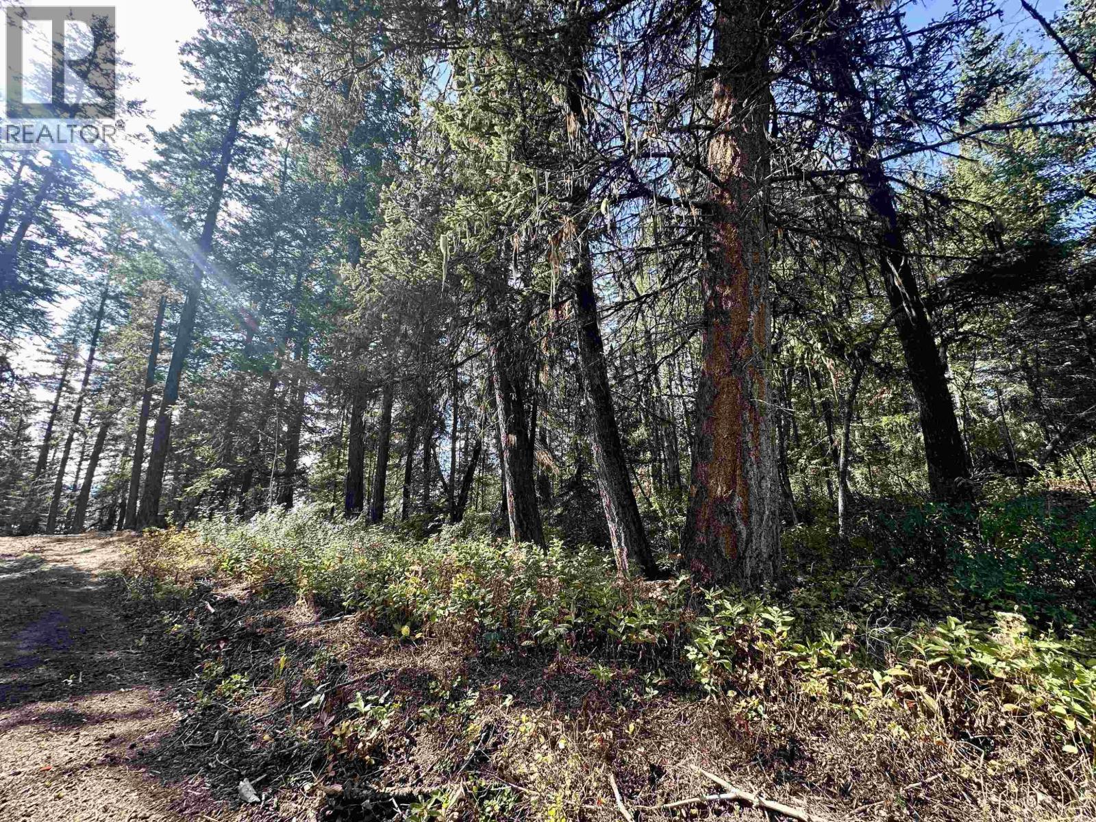 Vacant Land for Sale in Fraser Lake – 5567 OONA ROAD, Fraser Lake - Image 14