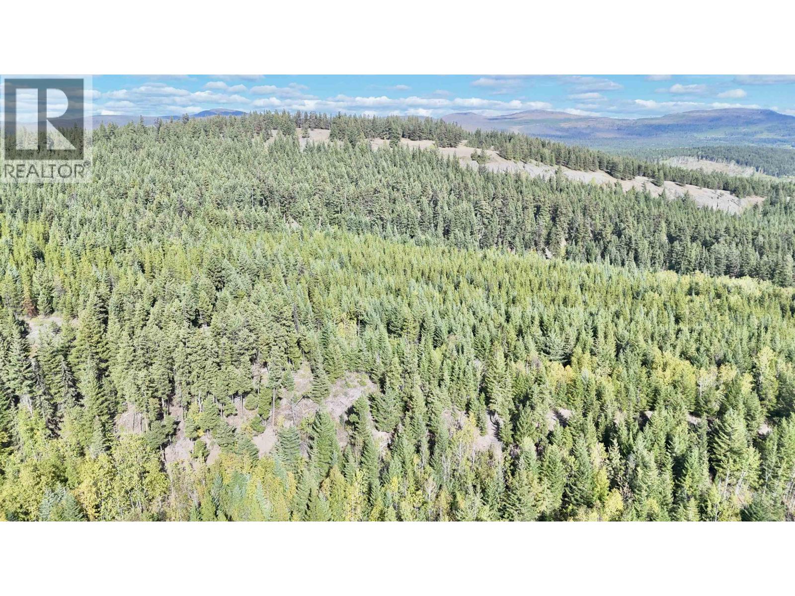 Vacant Land for Sale in Fraser Lake – 5567 OONA ROAD, Fraser Lake - Image 6