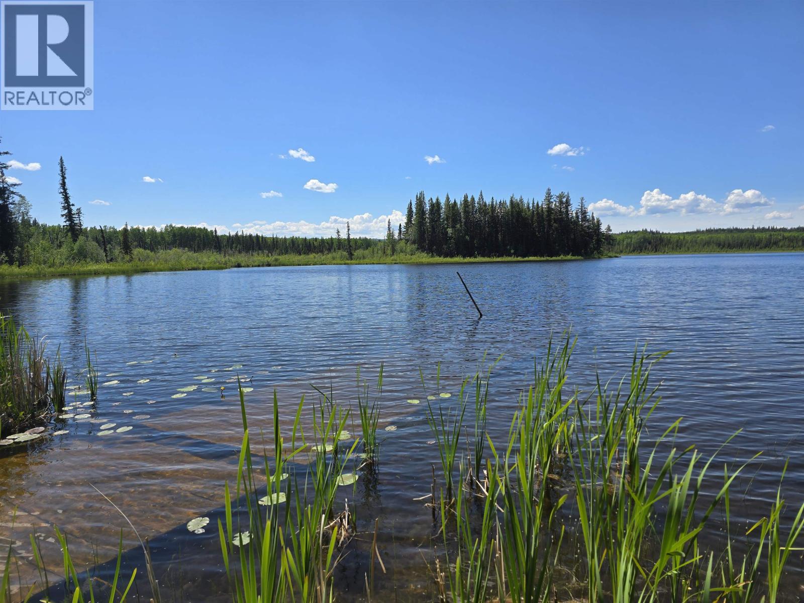 29200 DAHL LAKE ROAD, Prince George