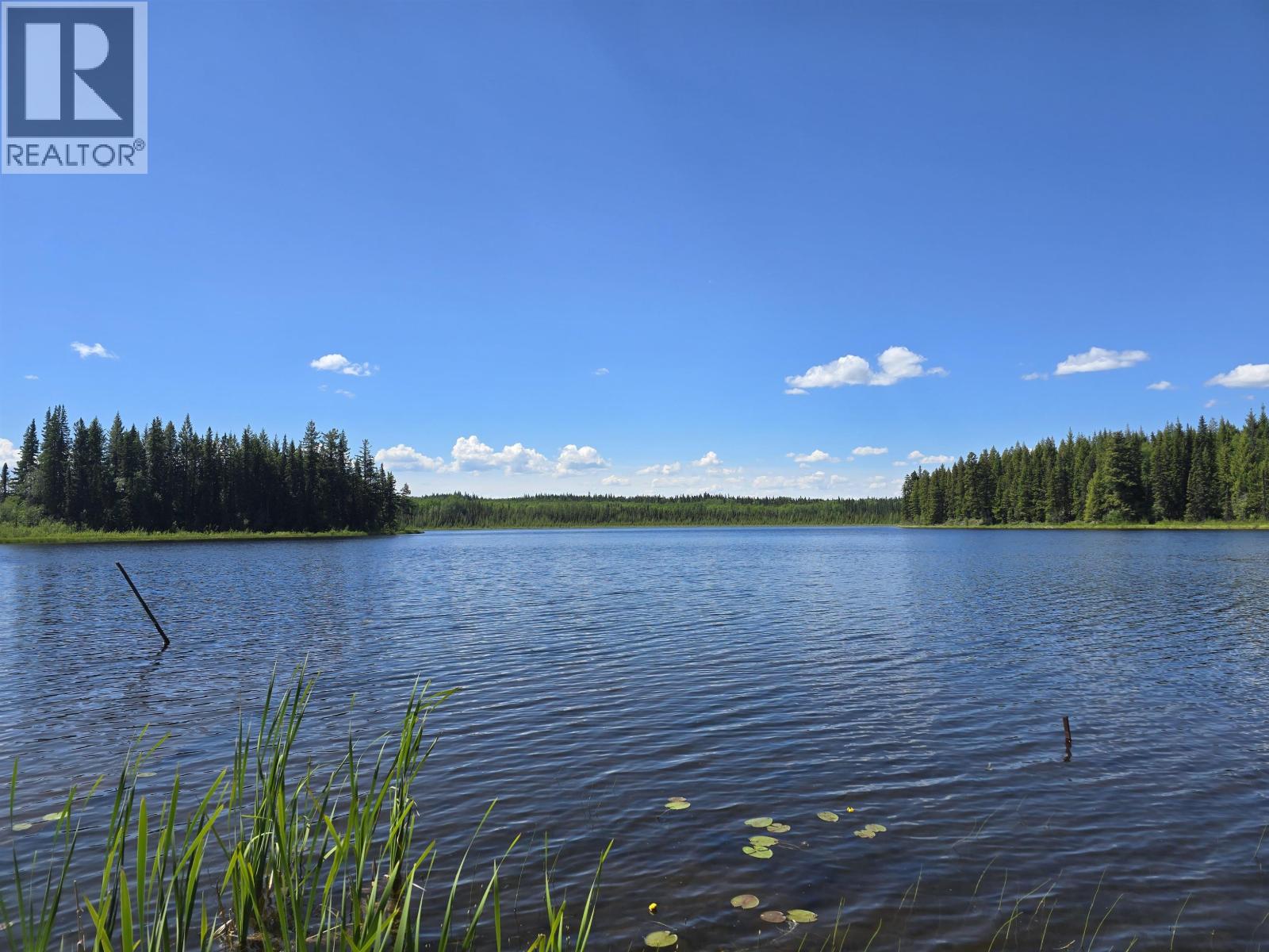 29200 DAHL LAKE ROAD, Prince George