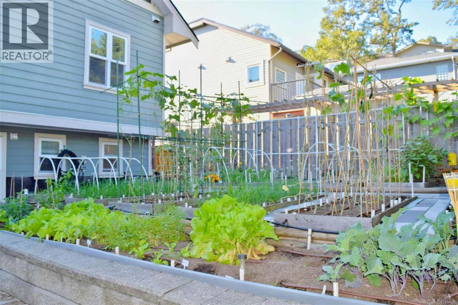  4037 Nelthorpe Street, Saanich