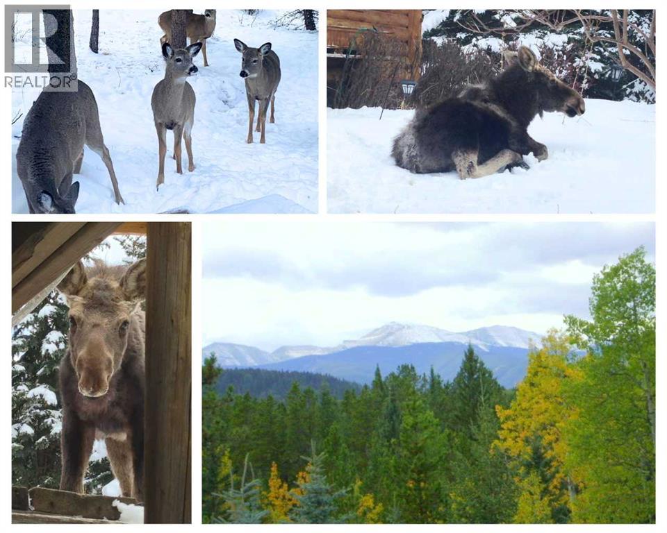 64 Breezewood Bay, Bragg Creek