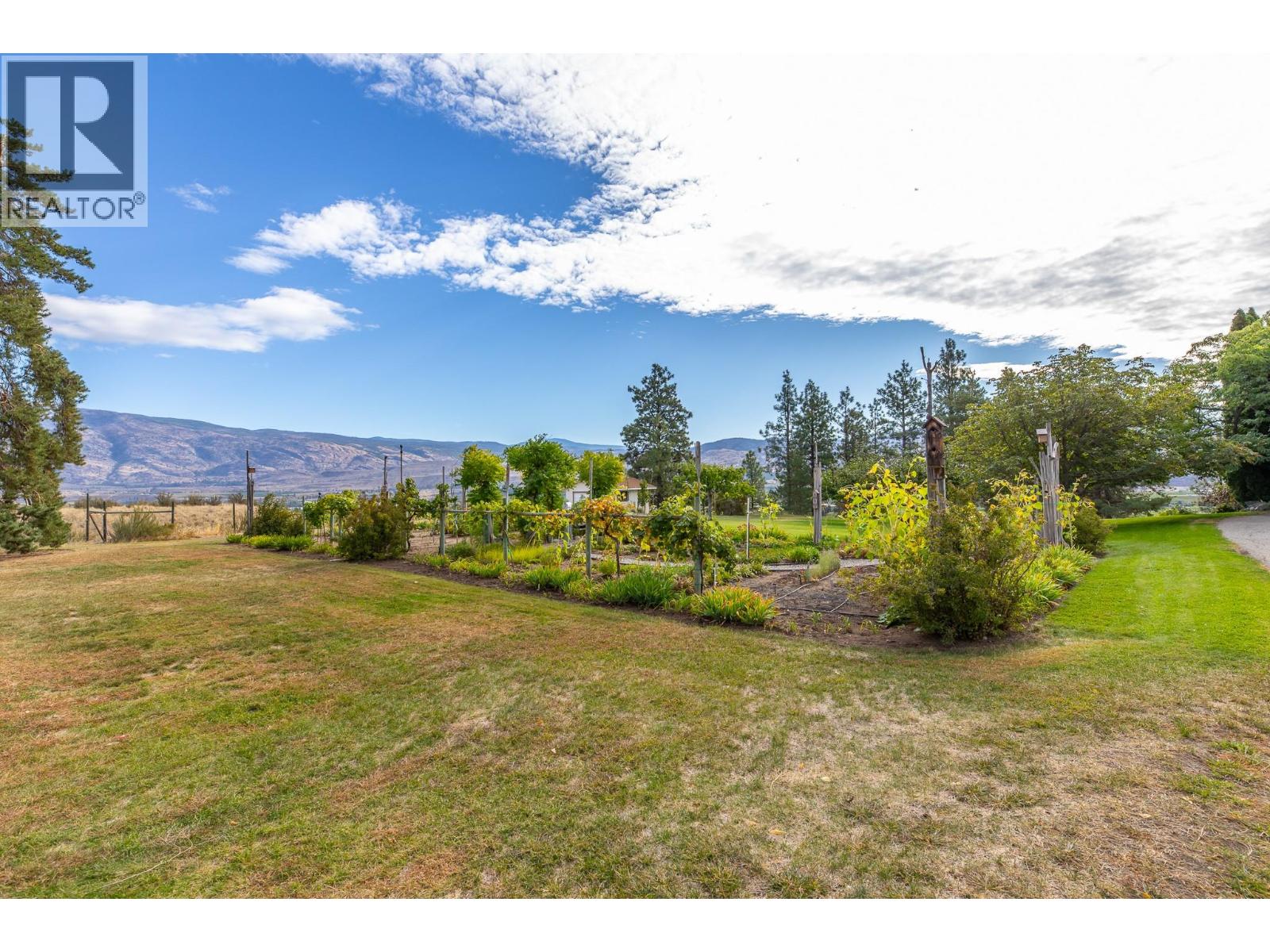 101 Knippelberg Road, Oliver