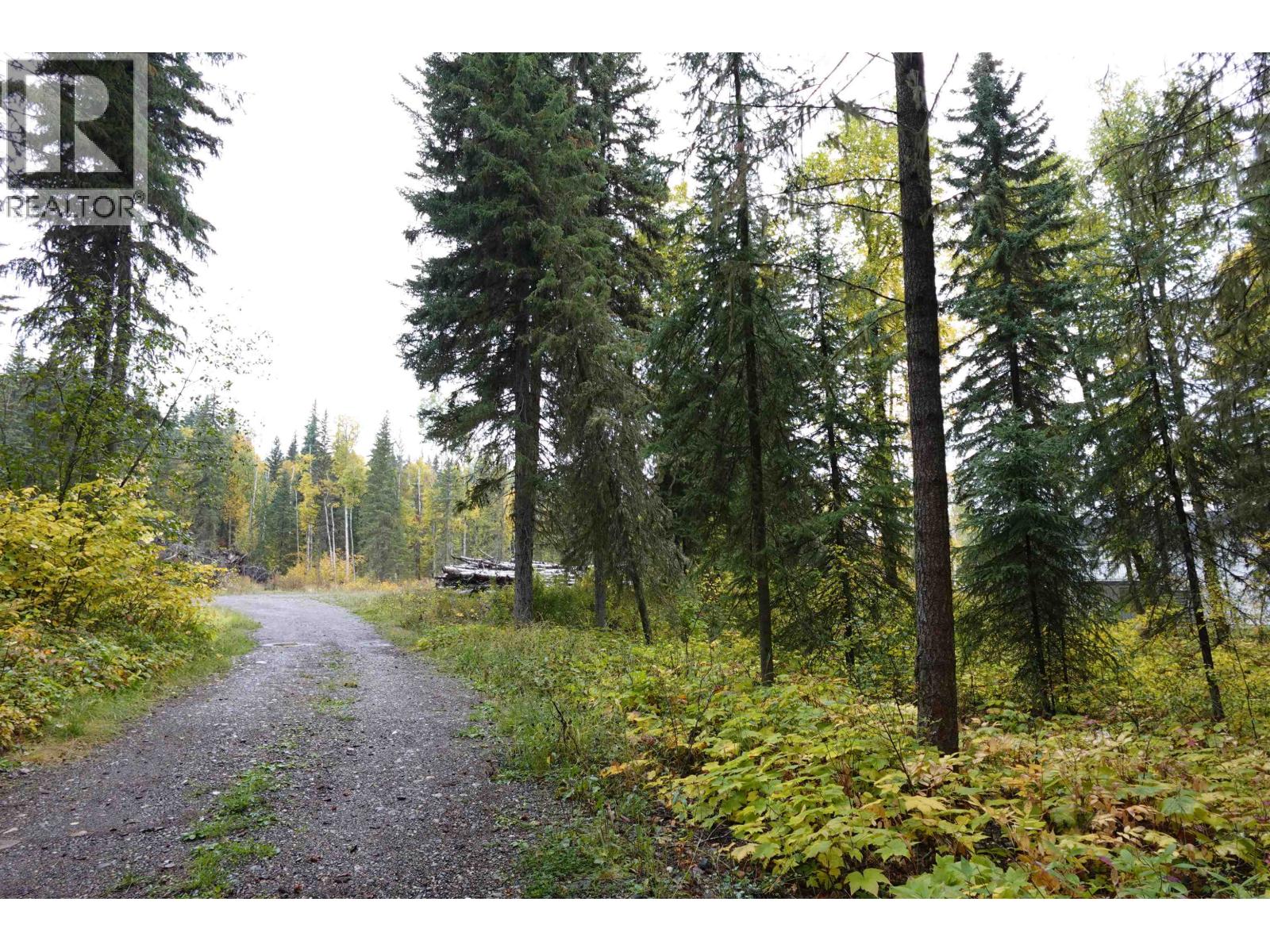 Vacant Land in Quesnel - Image 4