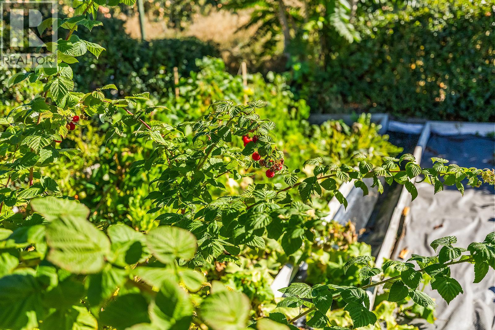 890 McKenzie Road, Kelowna