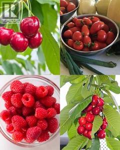 890 McKenzie Road, Kelowna