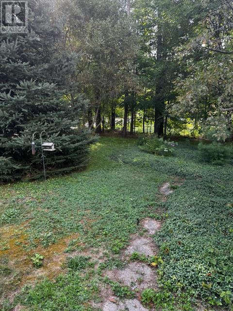213 CHESTNUT DRIVE S - 21