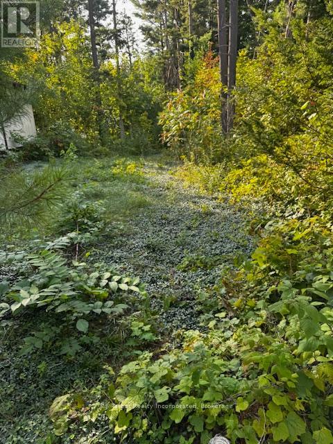 213 CHESTNUT DRIVE S - 22
