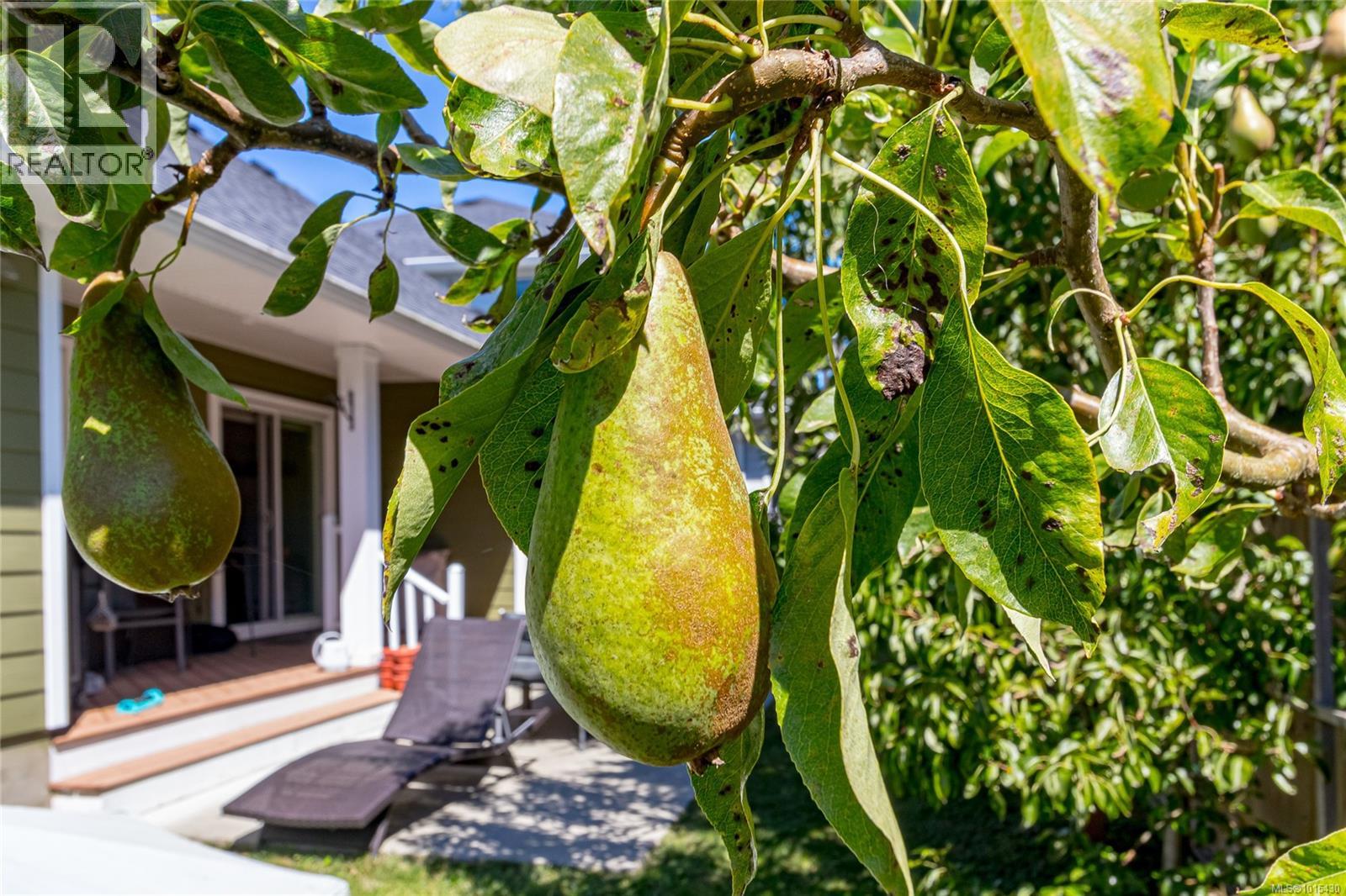  6885 Laura's Lane, Sooke