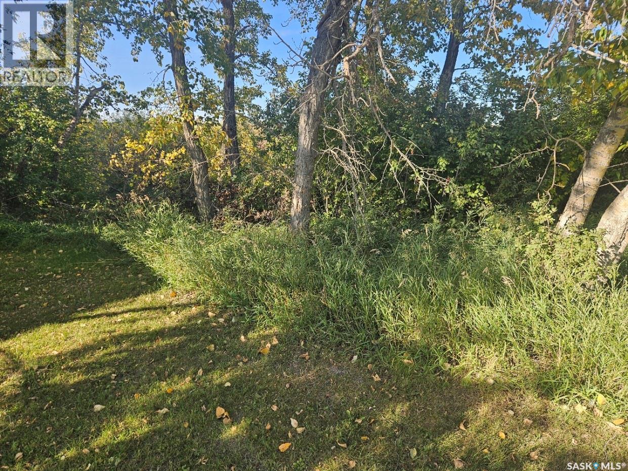 24 Saskatchewan AVENUE — photo 6