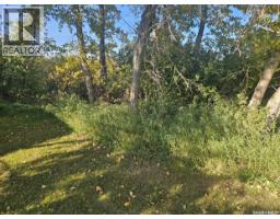 24 Saskatchewan Avenue, Quill Lake, SK S0K3E0 Photo 6