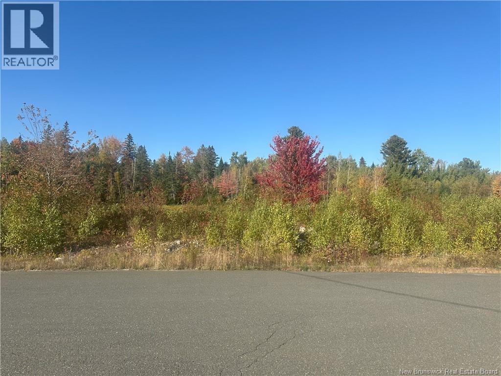 Lot 10-04