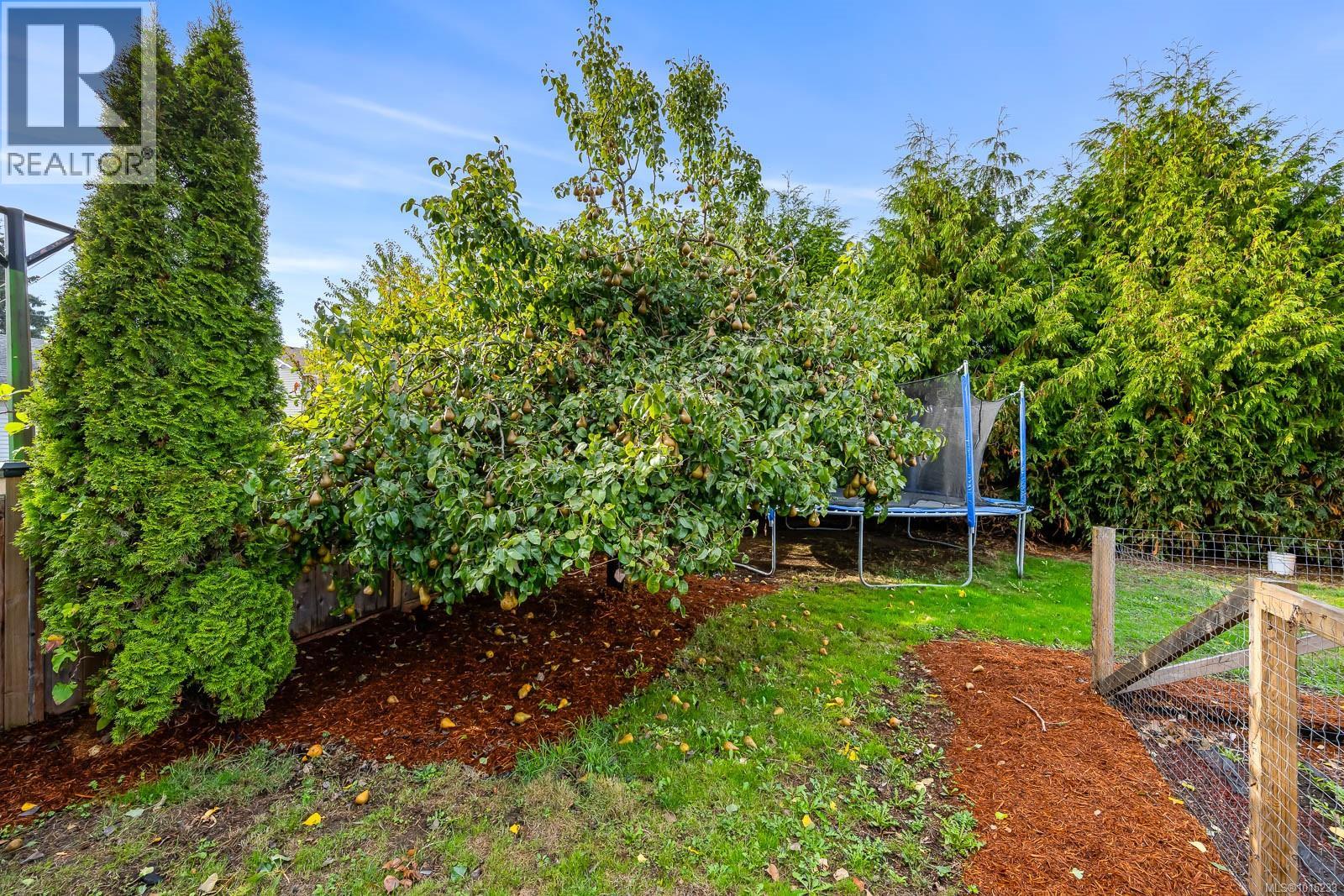 2391 Tull Ave, Courtenay