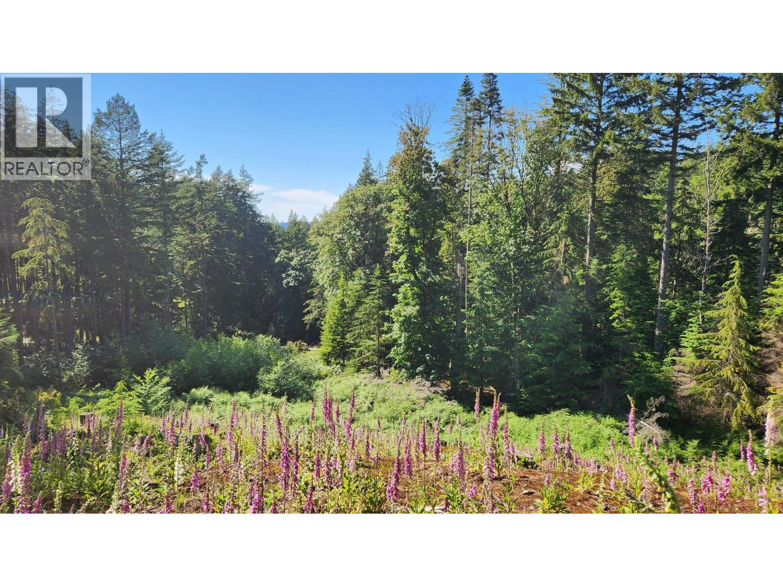 2060 CAPE DRIVE, Bowen Island