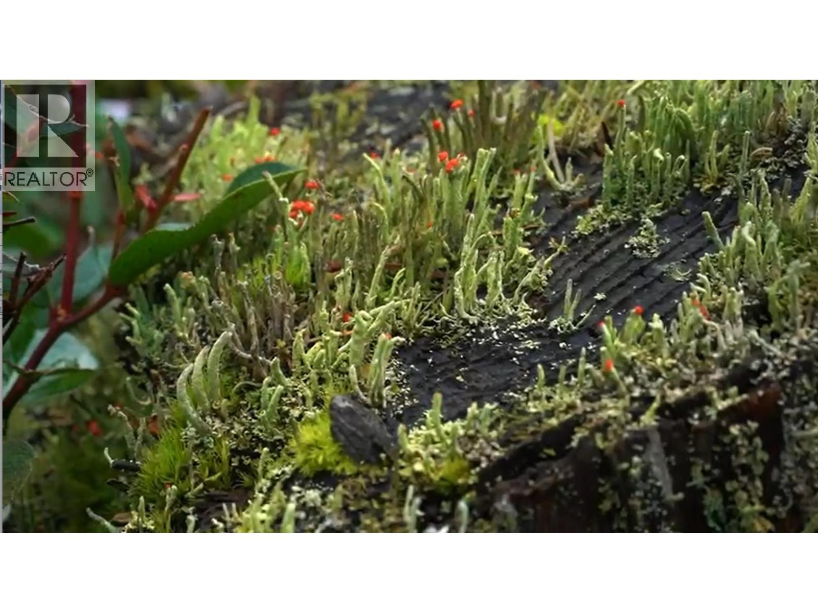 2060 CAPE DRIVE, Bowen Island