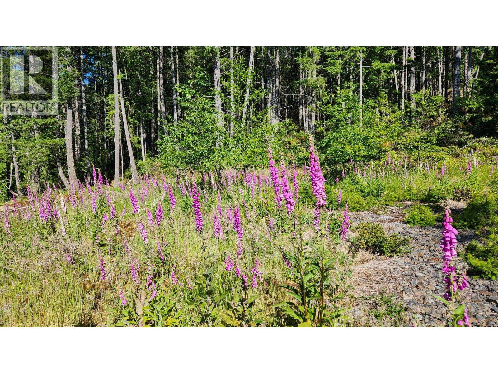 2060 CAPE DRIVE, Bowen Island