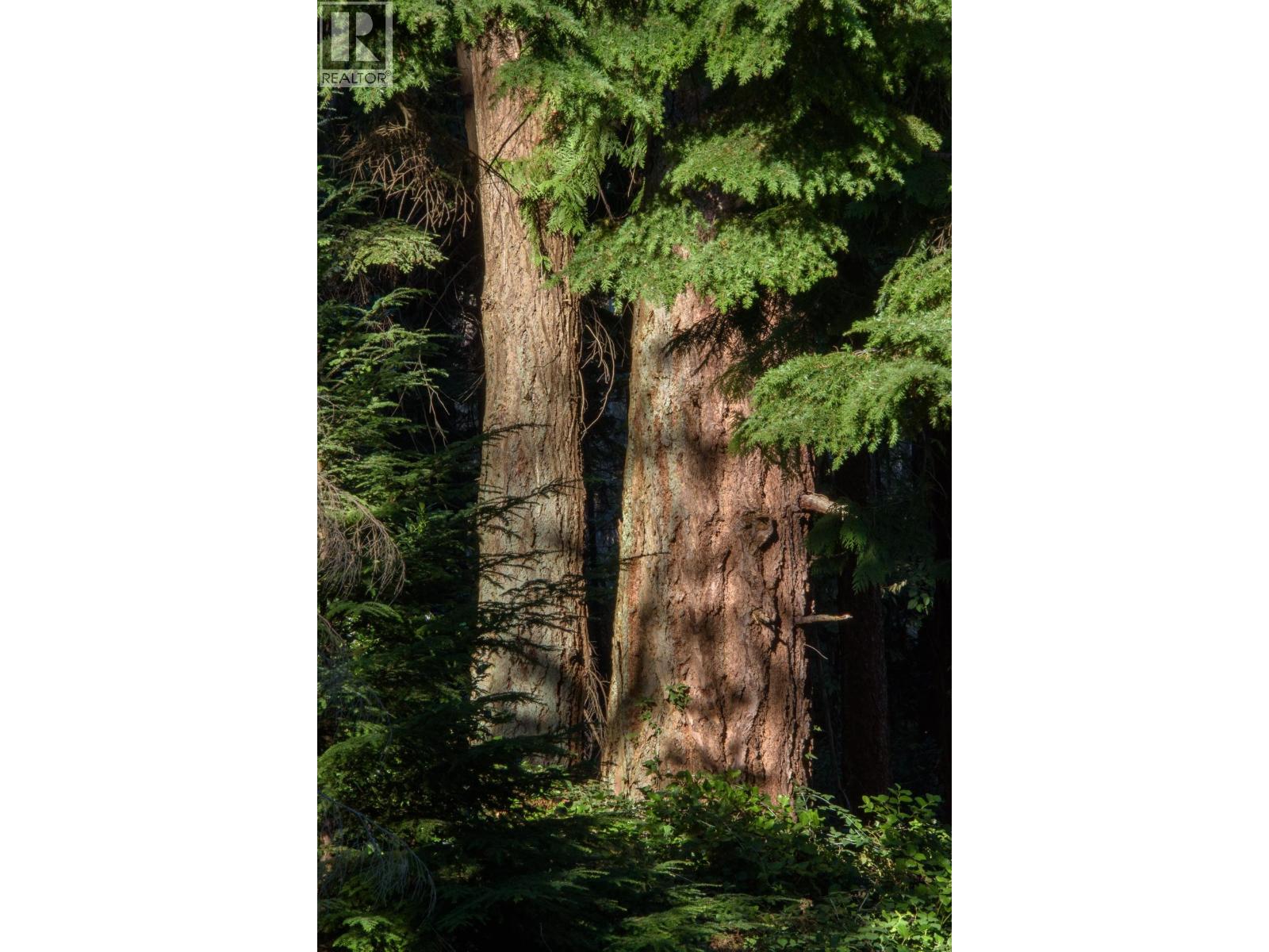 2060 CAPE DRIVE, Bowen Island