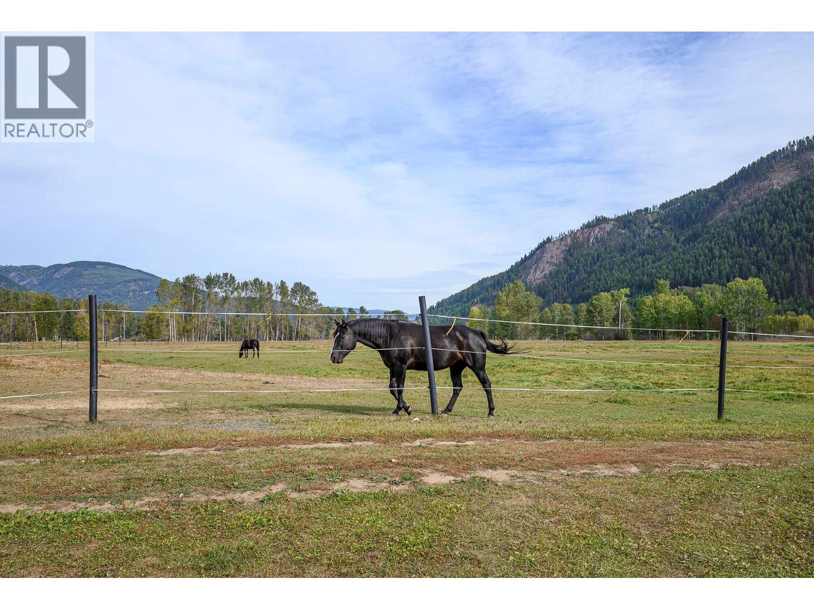  2804 Auldgirth Road, Clearwater