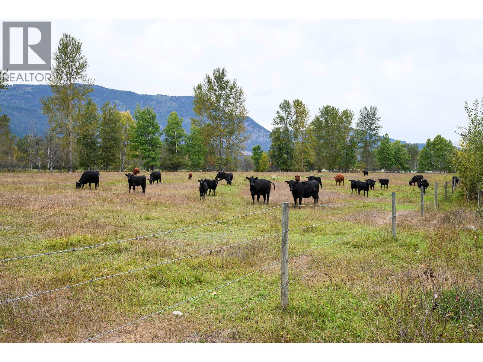  2804 Auldgirth Road, Clearwater