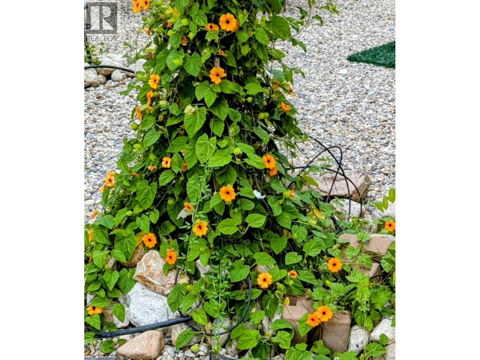 153 34199 Luoma Road, Malakwa